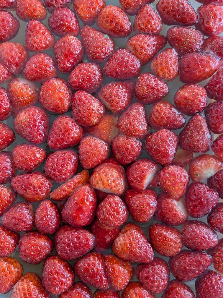 3月25日(水)、4月6日(月)は臨時休店